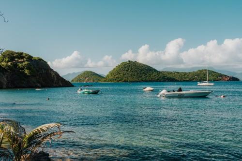 anse-du-fond-cure-1200x800