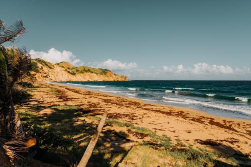 grande-anse-les-saintes