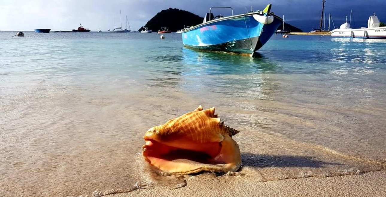 Guide des Plages de Terre-de-Haut et Terre-de-Bas : Un Voyage Inoubliable aux Saintes