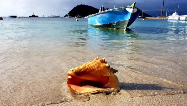 Guide des Plages de Terre-de-Haut et Terre-de-Bas : Un Voyage Inoubliable aux Saintes